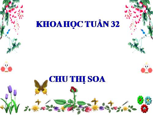 Bài 64. Trao đổi chất ở động vật