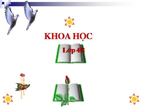 Bài 61. Trao đổi chất ở thực vật
