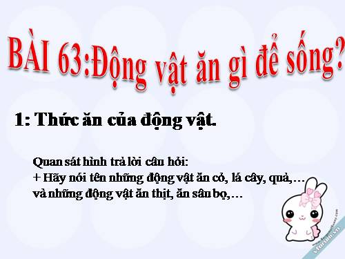 Bài 63. Động vật ăn gì để sống?