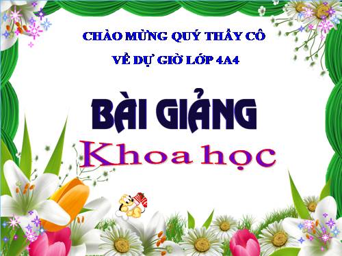 Bài 17. Phòng tránh tai nạn đuối nước