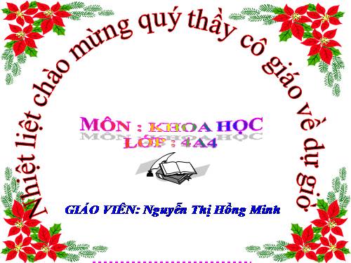 Bài 47. Ánh sáng cần cho sự sống