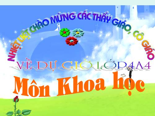 Bài 14. Phòng một số bệnh lây qua đường tiêu hoá