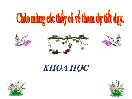 Bài 49. Ánh sáng và việc bảo vệ đôi mắt