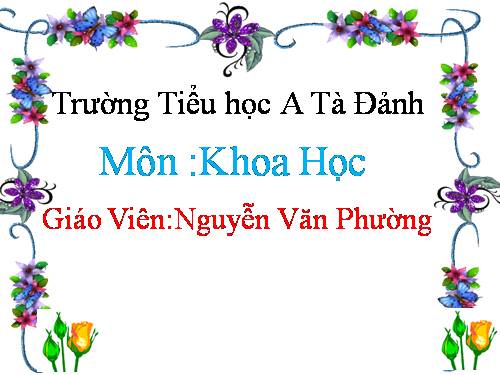Bài 51. Nóng, lạnh và nhiệt độ (tiếp theo)