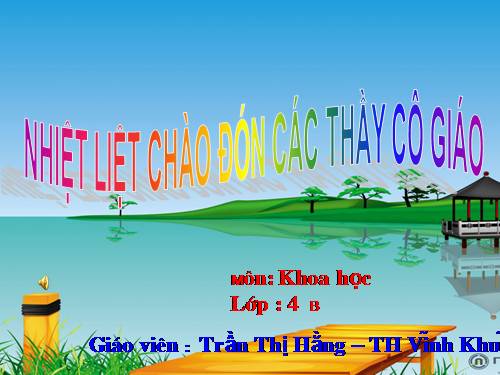 Bài 18 - 19. Ôn tập: Con người và sức khoẻ