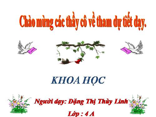 Bài 49. Ánh sáng và việc bảo vệ đôi mắt