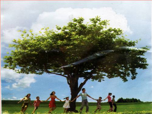 Bài 47. Ánh sáng cần cho sự sống