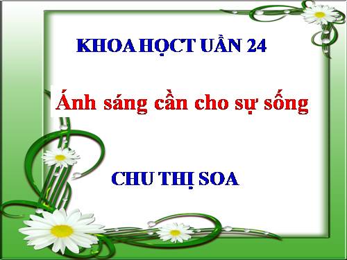 Bài 47. Ánh sáng cần cho sự sống