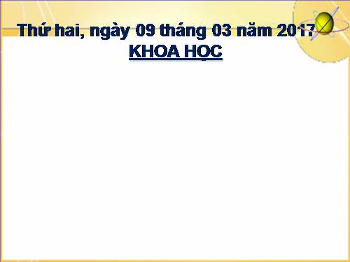 Bài 49. Ánh sáng và việc bảo vệ đôi mắt