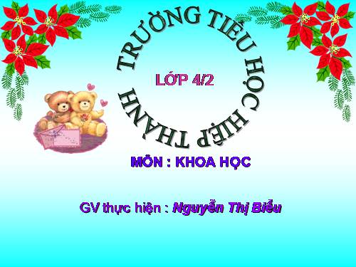 Bài 46. Bóng tối