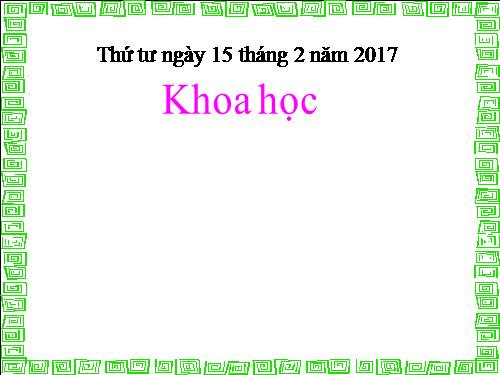 Bài 45. Ánh sáng