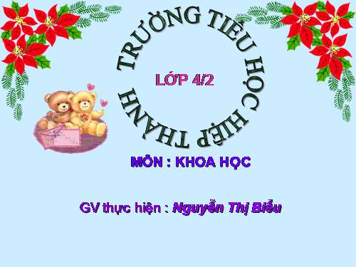Bài 47. Ánh sáng cần cho sự sống