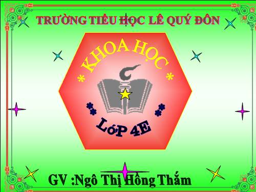 Bài 47. Ánh sáng cần cho sự sống