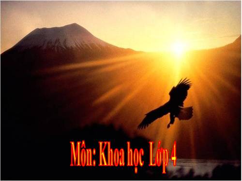 Bài 45. Ánh sáng