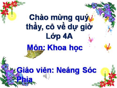 Bài 48. Ánh sáng cần cho sự sống (tiếp theo)
