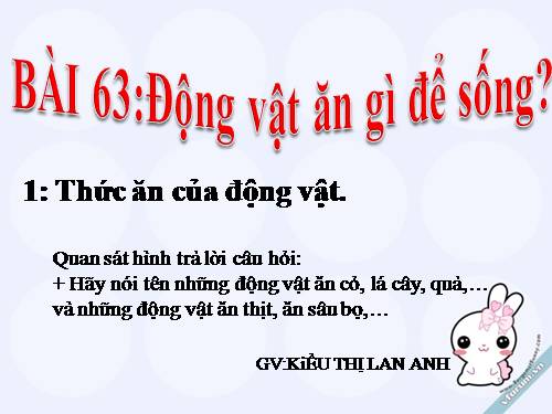 Bài 63. Động vật ăn gì để sống?