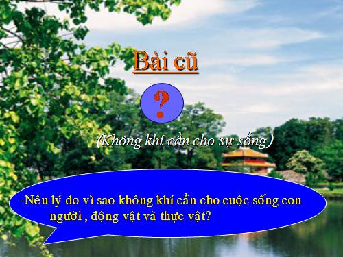 Bài 37. Tại sao có gió?