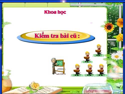 Bài 46. Bóng tối