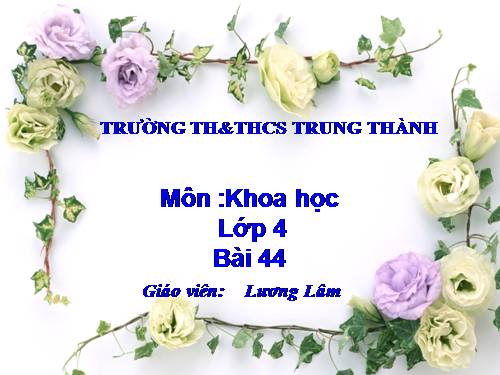 Bài 44. Âm thanh trong cuộc sống (tiếp theo)