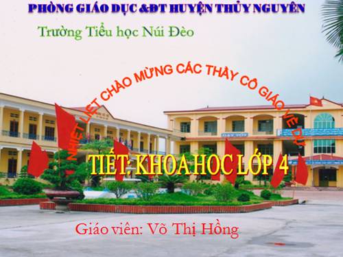 Bài 39. Không khí bị ô nhiễm
