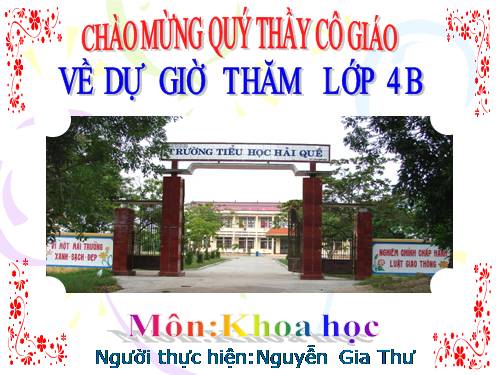 Bài 20. Nước có những tính chất gì?