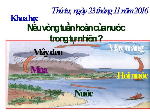 Bài 24. Nước cần cho sự sống
