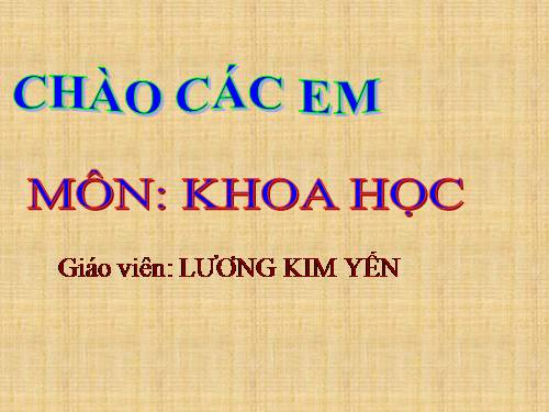 Bài 30. Làm thế nào để biết có không khí?