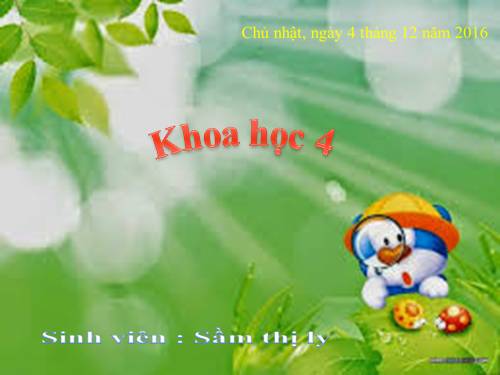 Bài 7. Tại sao cần ăn phối hợp nhiều loại thức ăn?