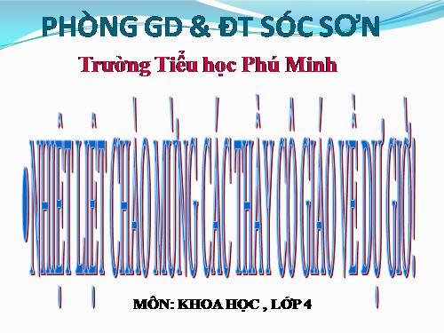 Bài 25. Nước bị ô nhiễm