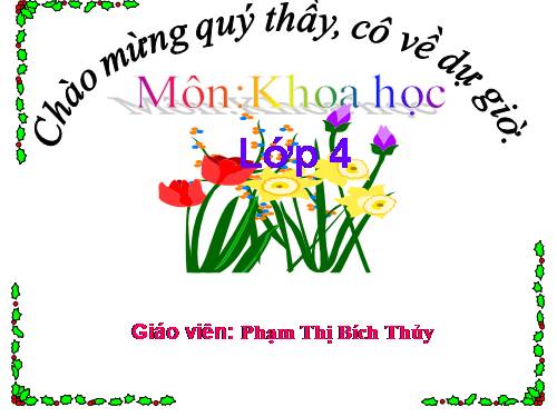 Bài 24. Nước cần cho sự sống