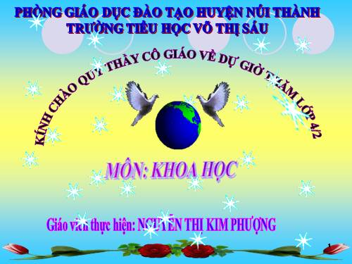 Bài 6. Vai trò của vi-ta -min, chất khoáng và chất xơ