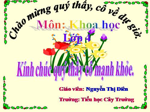 Bài 23. Sơ đồ vòng tuần hoàn của nước trong tự nhiên