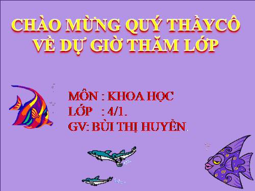 Bài 21. Ba thể của nước