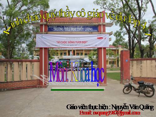 Bài 24. Nước cần cho sự sống