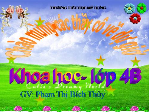 Bài 13. Phòng bệnh béo phì