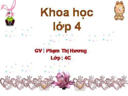 Bài 20. Nước có những tính chất gì?