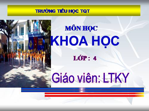 Bài 18 - 19. Ôn tập: Con người và sức khoẻ