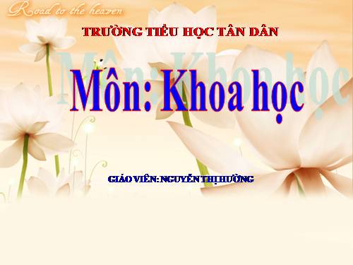 Bài 15. Bạn cảm thấy thế nào khi bị bệnh?