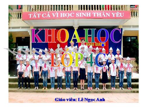 Bài 15. Bạn cảm thấy thế nào khi bị bệnh?