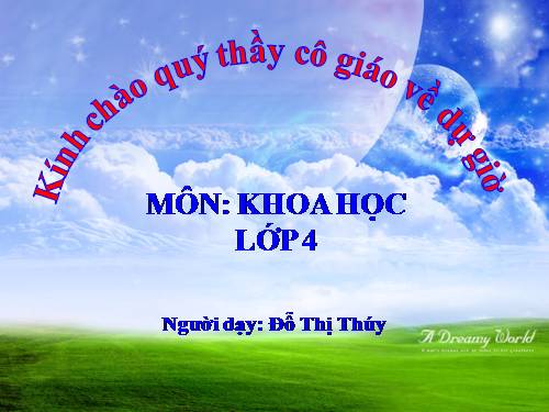 Bài 15. Bạn cảm thấy thế nào khi bị bệnh?