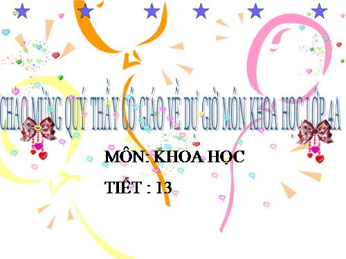 Bài 13. Phòng bệnh béo phì