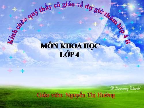 Bài 13. Phòng bệnh béo phì