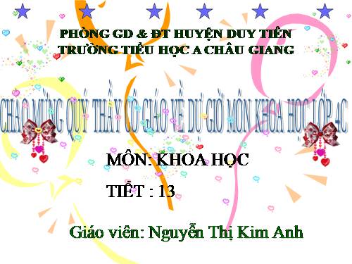 Bài 13. Phòng bệnh béo phì