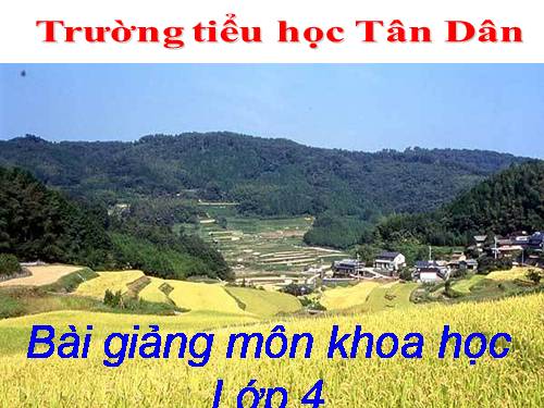 Bài 11. Một số cách bảo quản thức ăn