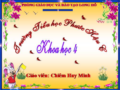 Bài 7. Tại sao cần ăn phối hợp nhiều loại thức ăn?