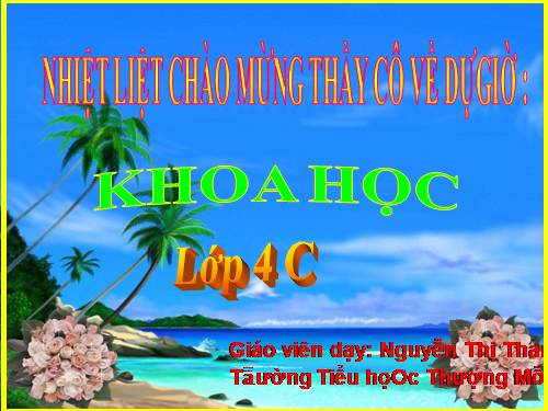 Bài 24. Nước cần cho sự sống