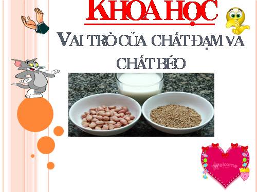 Bài 5. Vai trò của chất đạm và chất béo