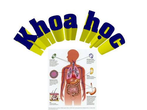 Bài 2. Trao đổi chất ở người