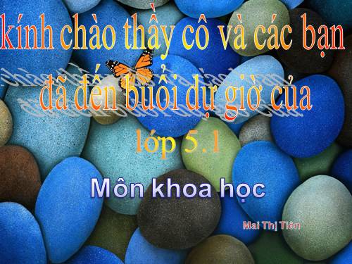 Bài 62. Động vật cần gì để sống?