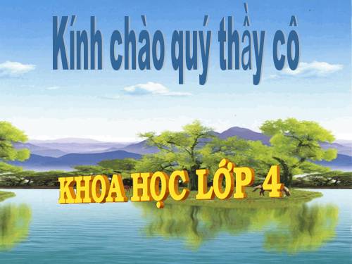 Bài 57. Thực vật cần gì để sống?
